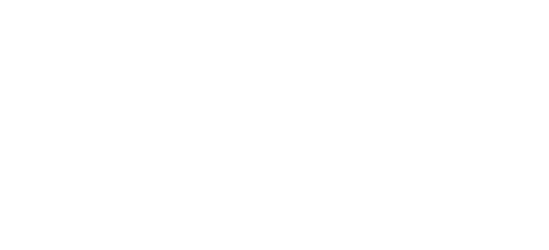 Trend Tide Ladies